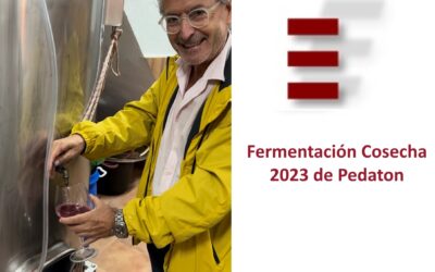 Finalizamos el proceso de fermentación de la cosecha 2023 de Pedaton.